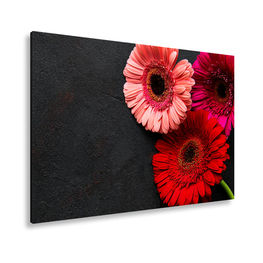 Hauptbild Farbig Standart