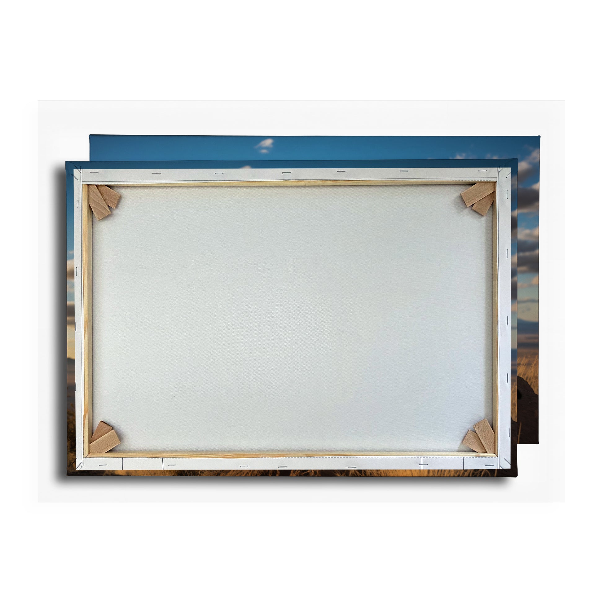 Vorschaubild Rückwand