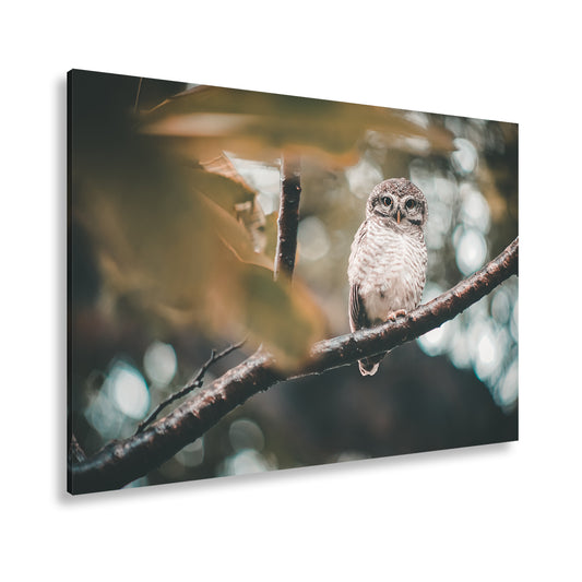 Hauptbild Farbig Standart