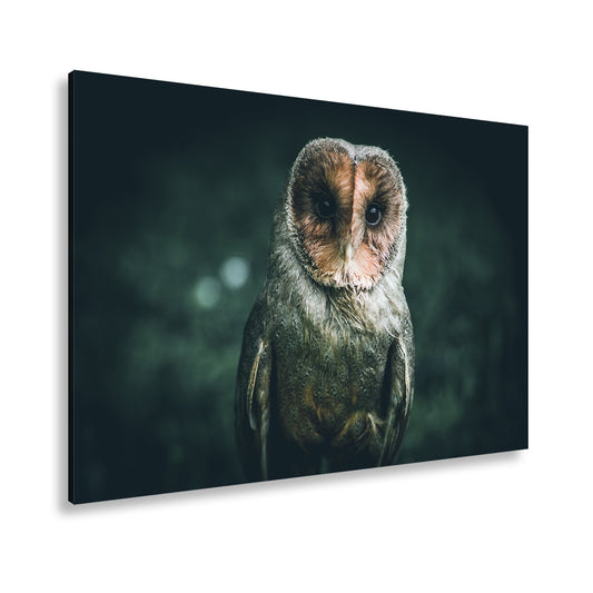 Hauptbild Farbig Standart