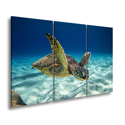 Hauptbild Farbig 3 Teilig