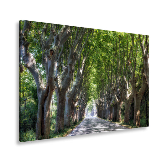 Hauptbild Farbig Standart