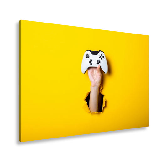 Hauptbild Farbig Standart