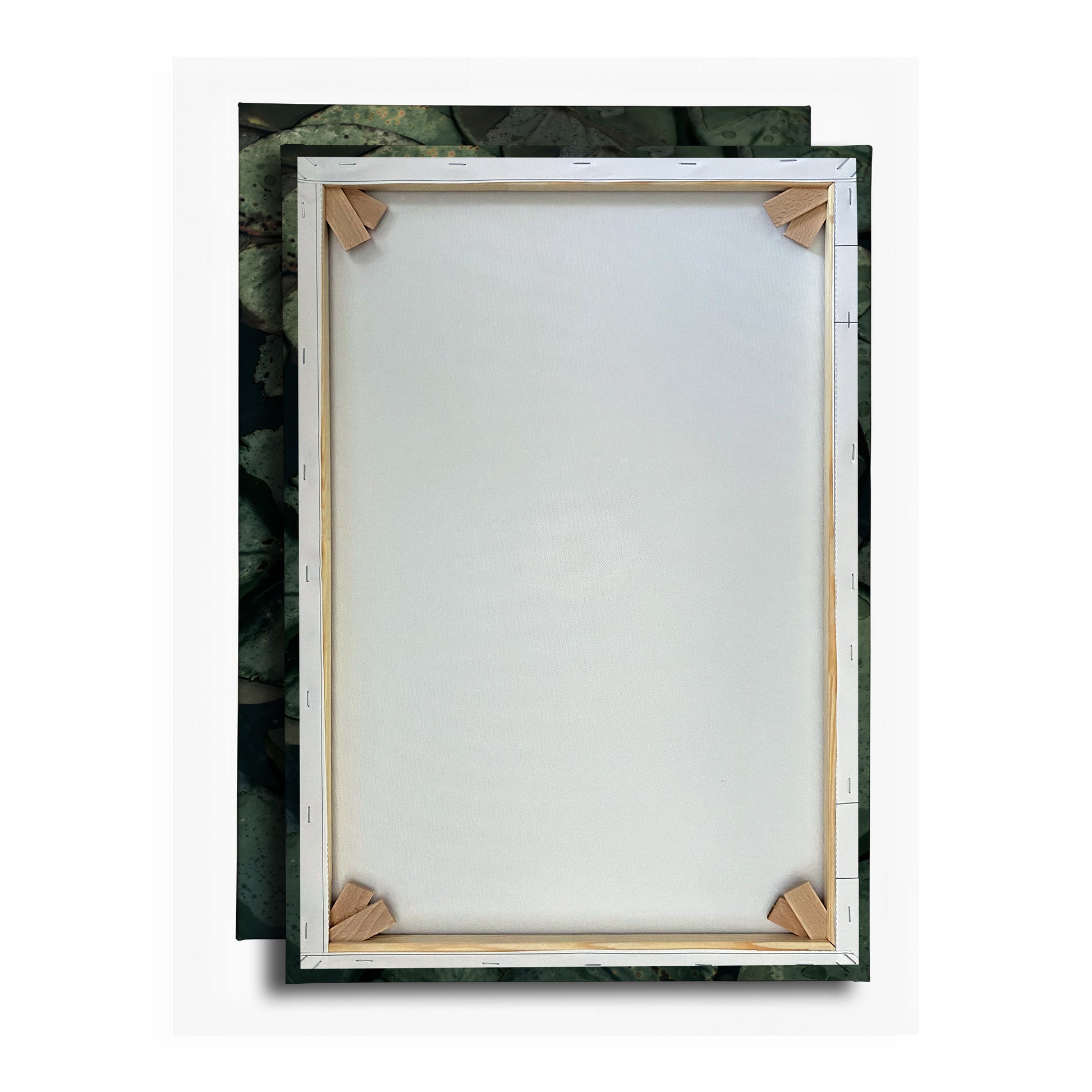 Vorschaubild Rückwand