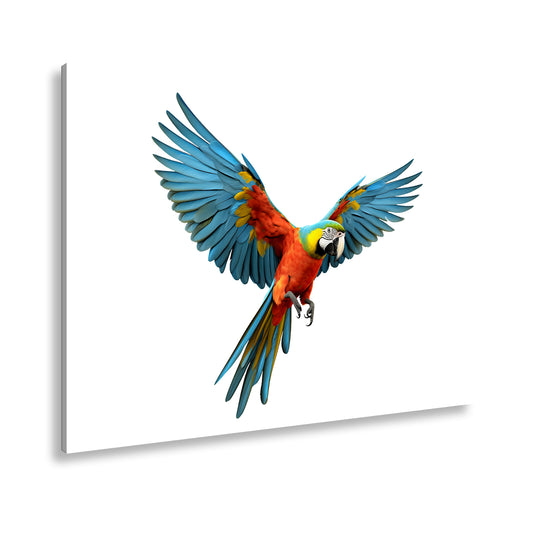 Hauptbild Farbig Standart