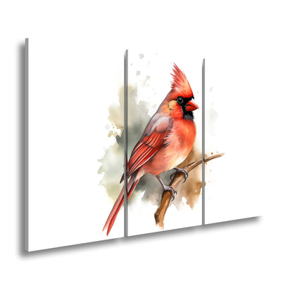 Hauptbild Farbig 3 Teilig