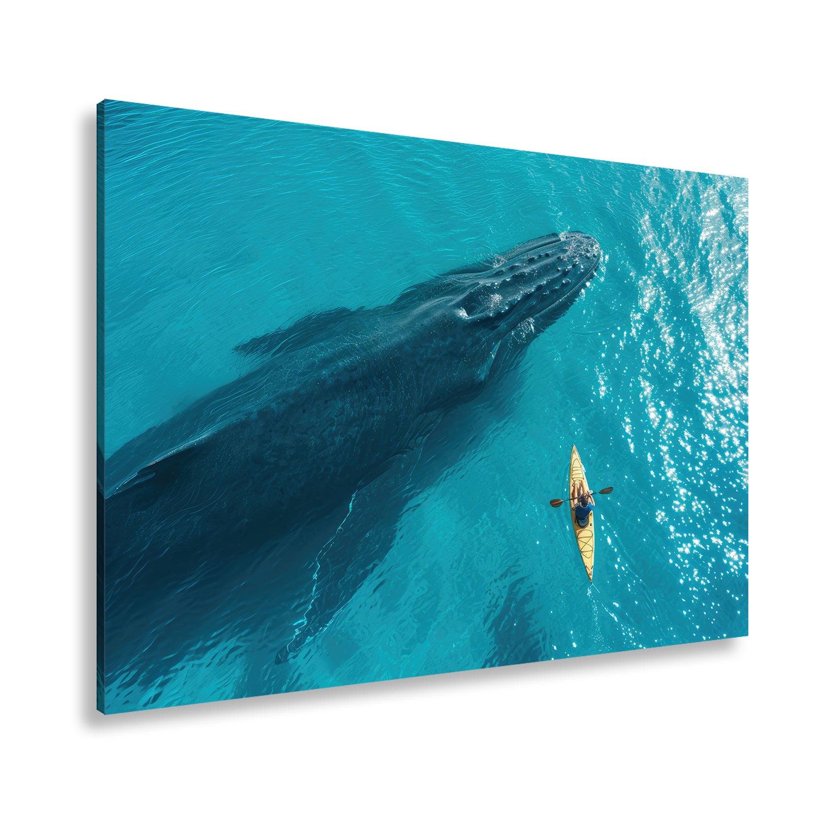 Hauptbild Farbig Standart