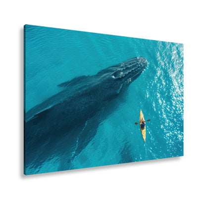 Hauptbild Farbig Standart