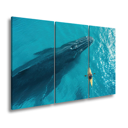 Hauptbild Farbig 3 Teilig