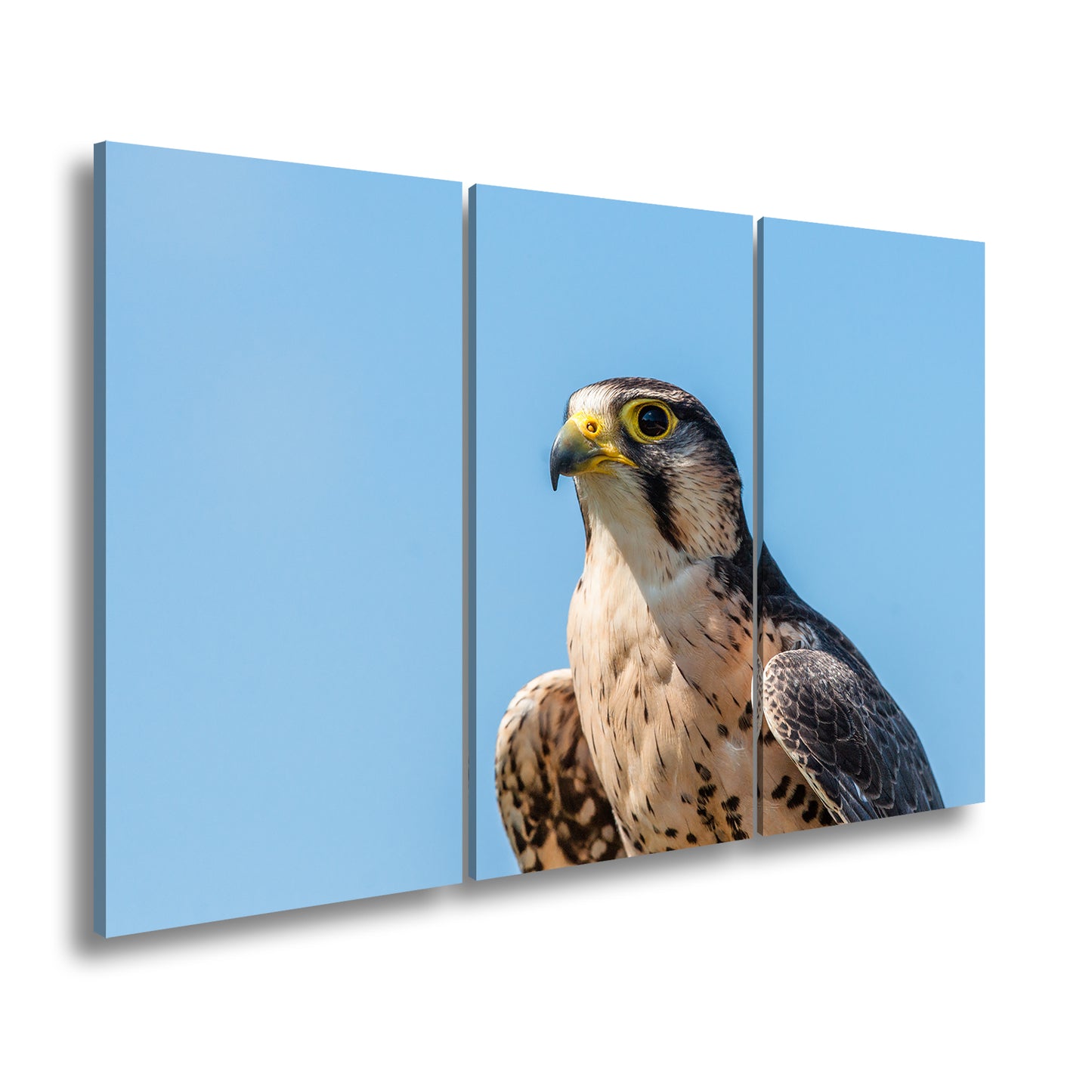 Hauptbild Farbig 3 Teilig