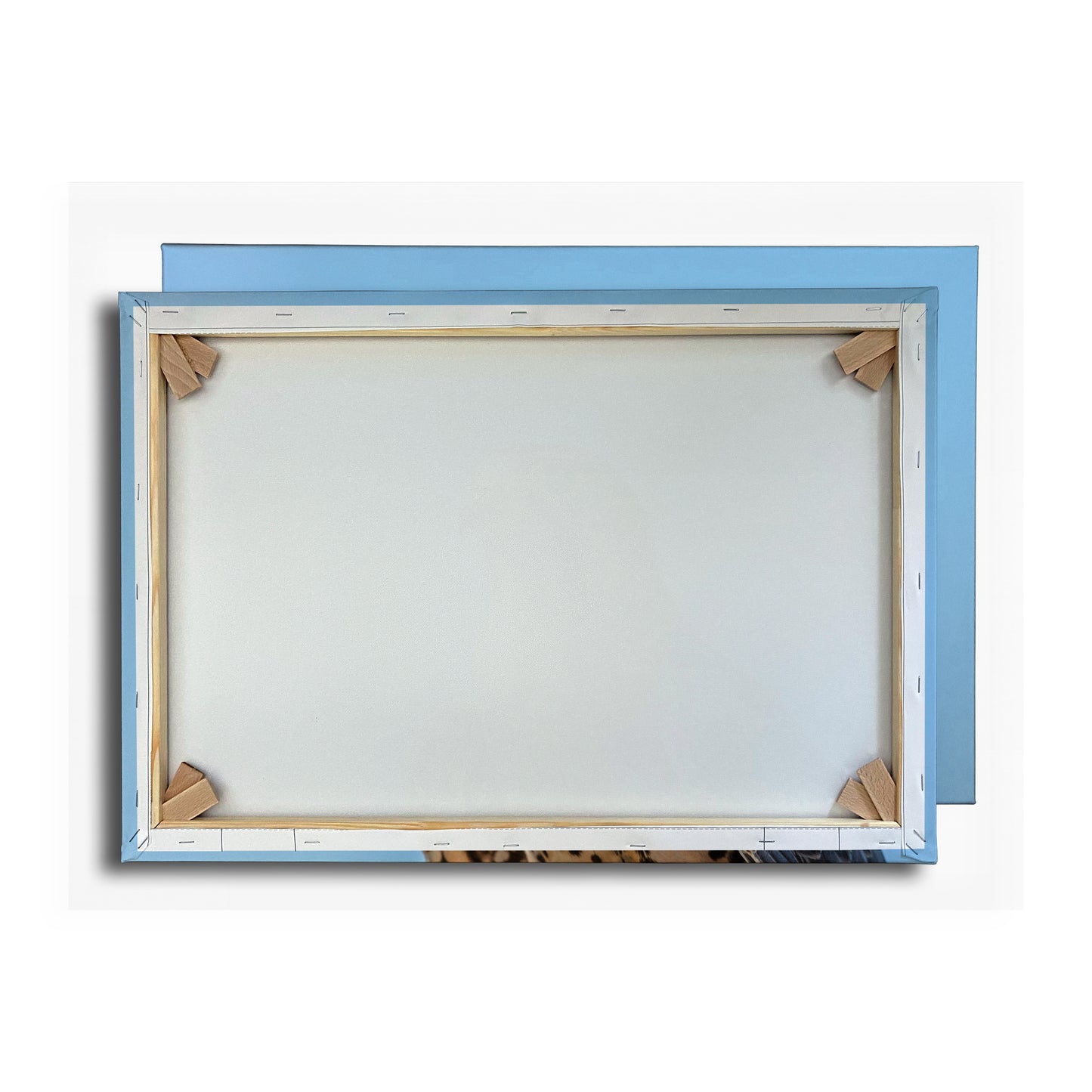 Vorschaubild Rückwand