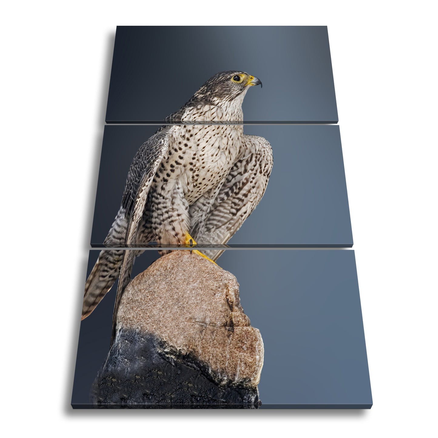 Hauptbild Farbig 3 Teilig