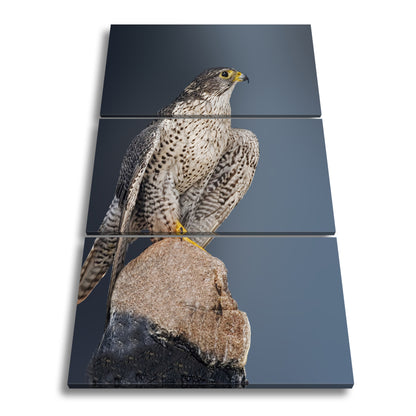 Hauptbild Farbig 3 Teilig