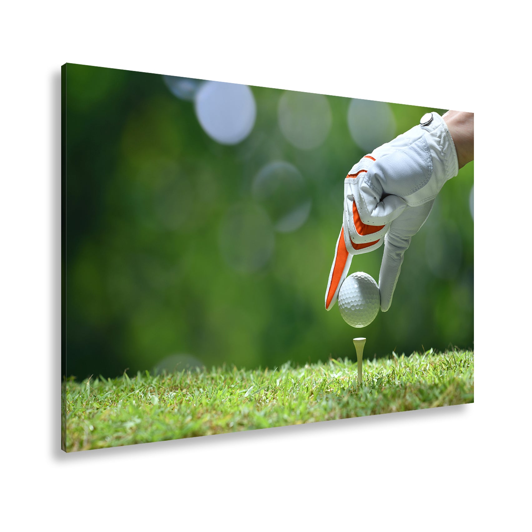 Hauptbild Farbig Standart