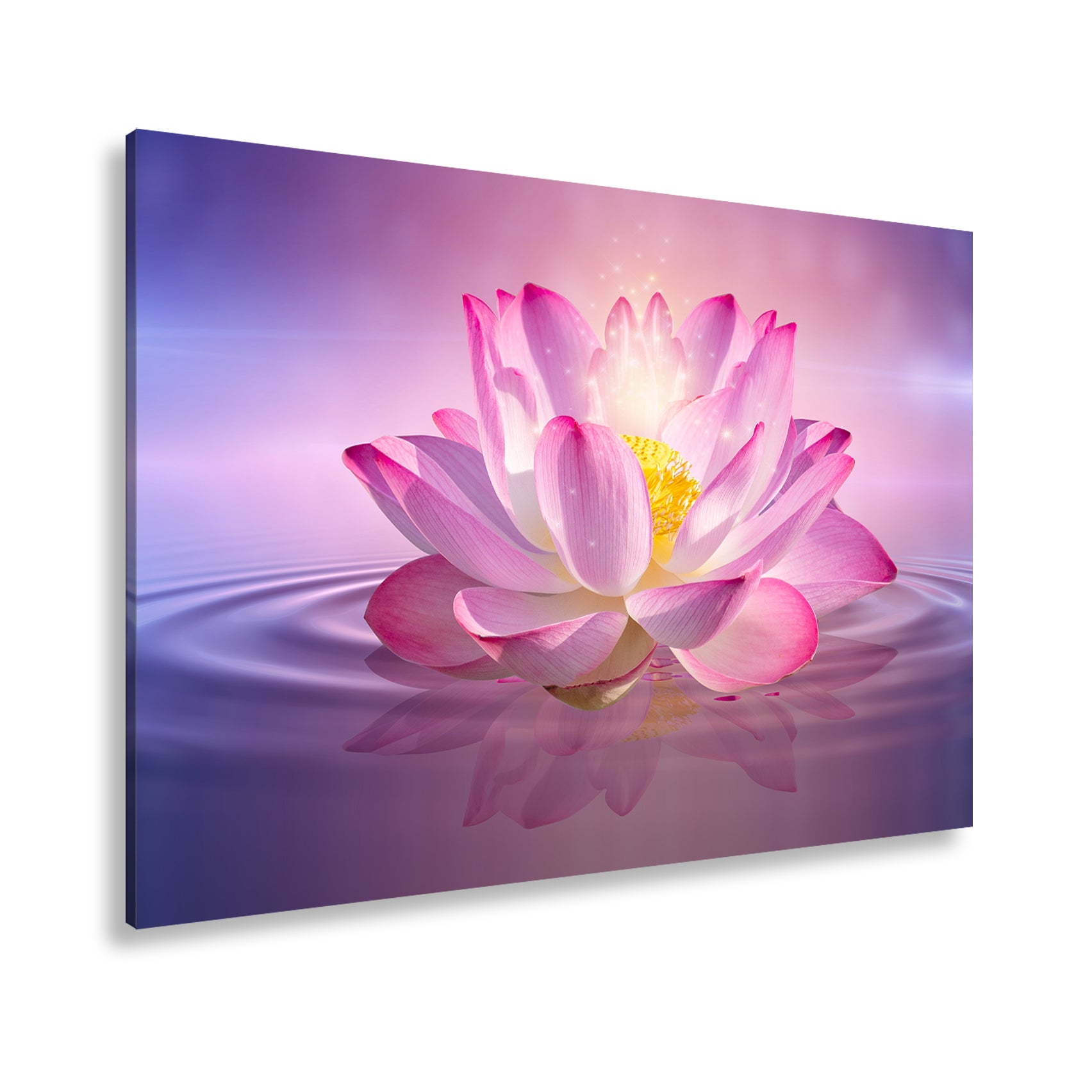 Hauptbild Farbig Standart