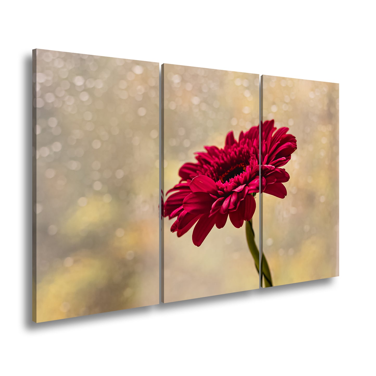 Hauptbild Farbig 3 Teilig