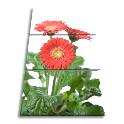 Hauptbild Farbig 3 Teilig