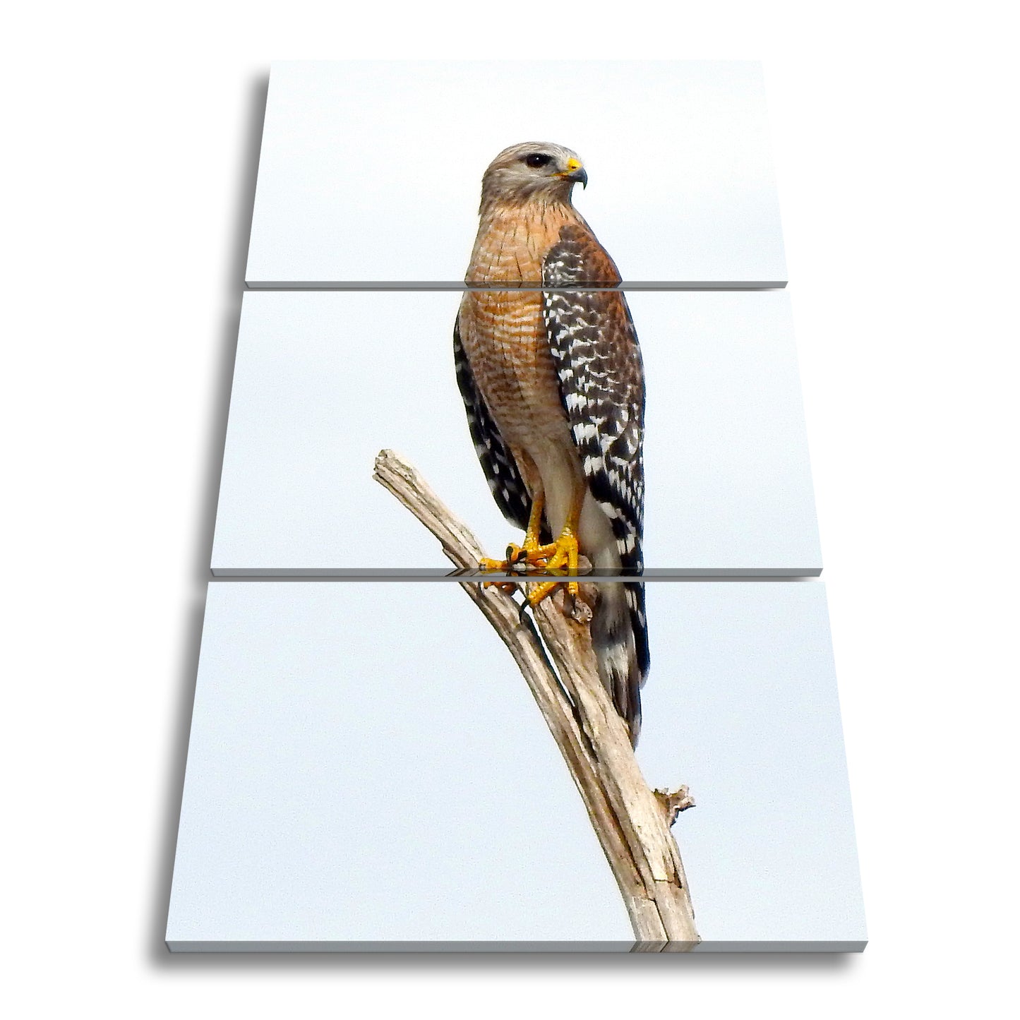 Hauptbild Farbig 3 Teilig