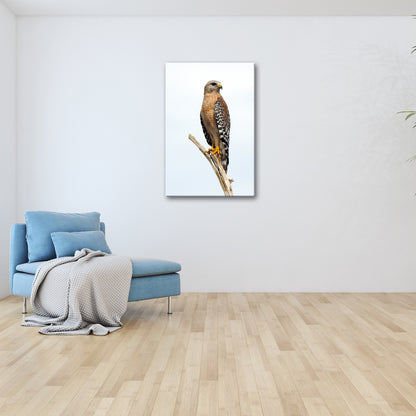 Vorschaubild Wohnzimmerbild 3