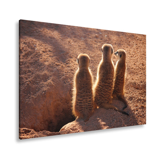 Hauptbild Farbig Standart