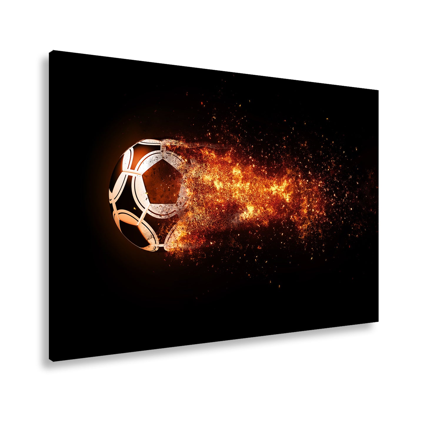 Hauptbild Farbig Standart