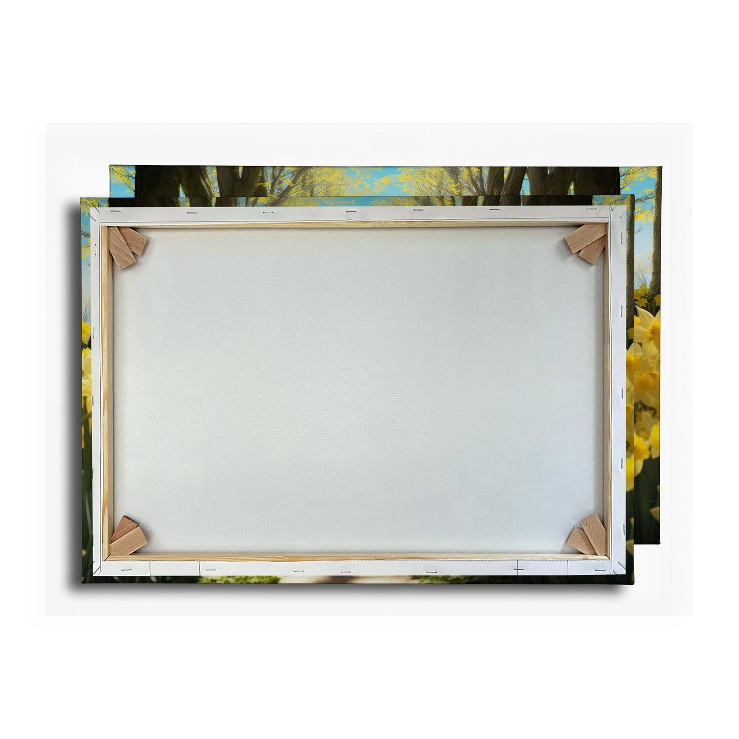 Vorschaubild Rückwand