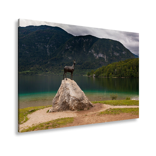 Hauptbild Farbig Standart