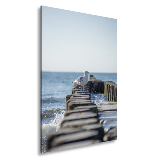 Hauptbild Farbig Standart