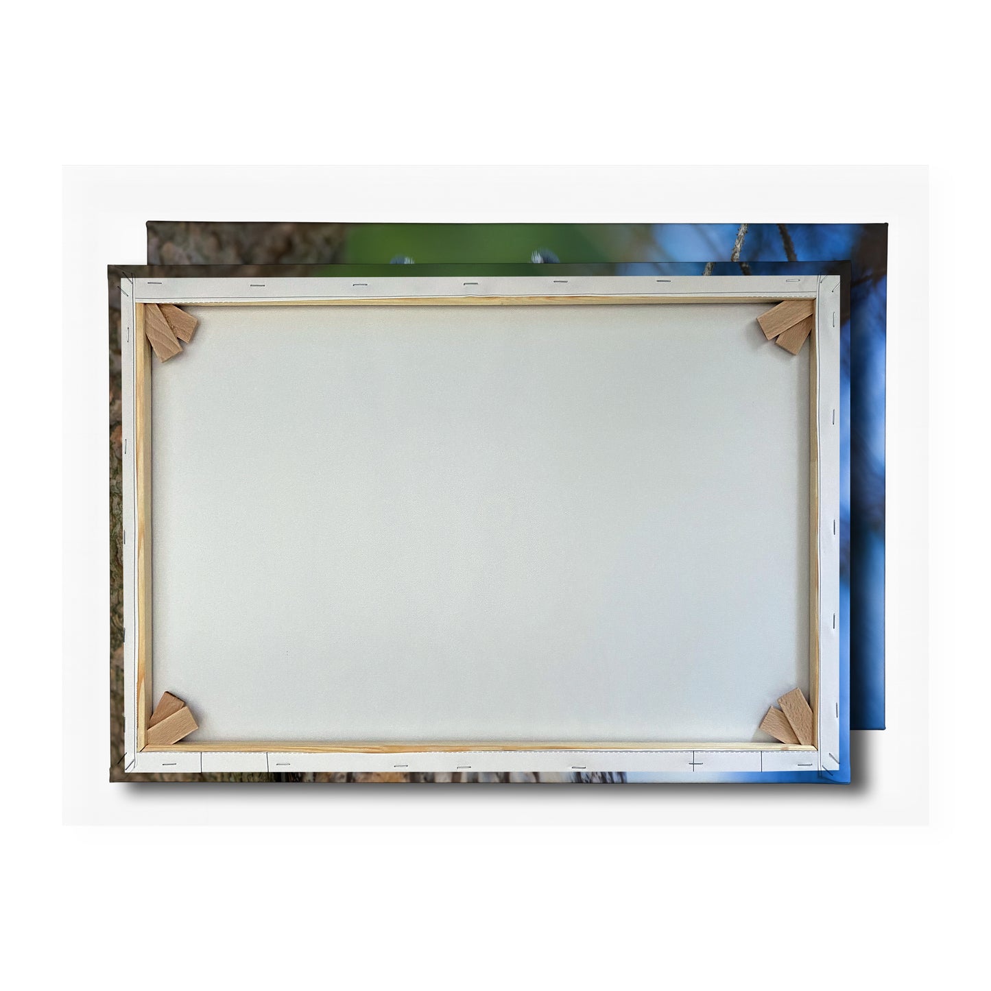 Vorschaubild Rückwand