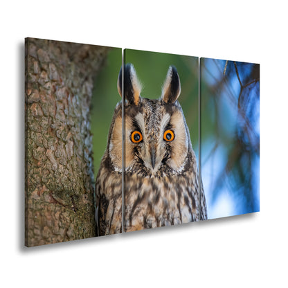 Hauptbild Farbig 3 Teilig