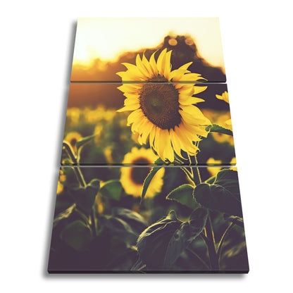 Hauptbild Farbig 3 Teilig