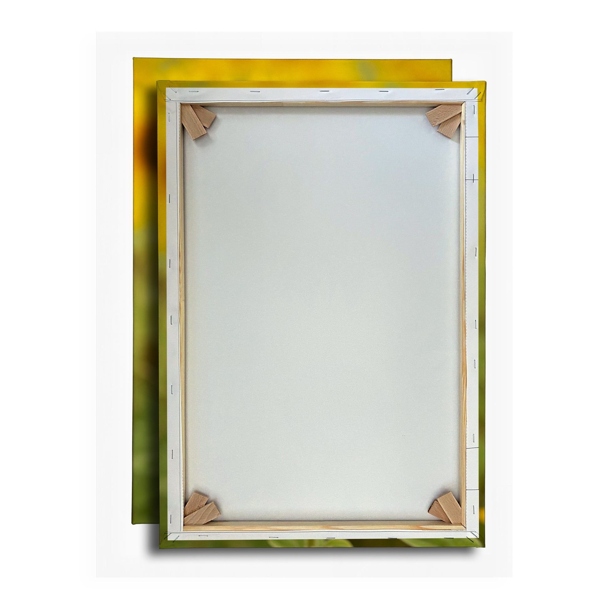 Vorschaubild Rückwand