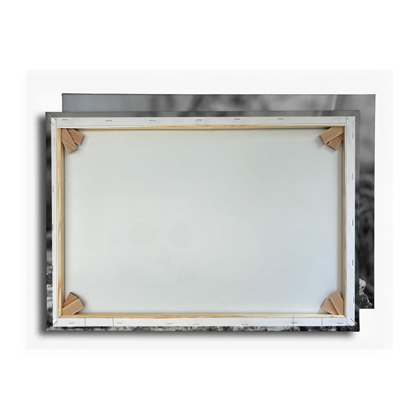 Vorschaubild Rückwand