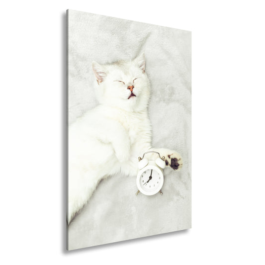 Hauptbild Farbig Standart