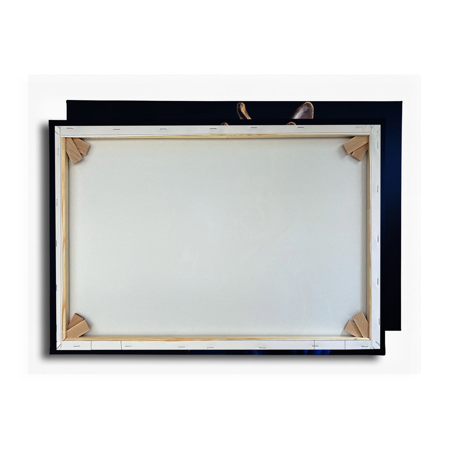 Vorschaubild Rückwand