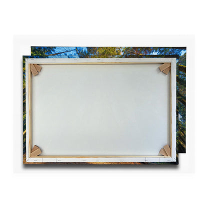 Vorschaubild Rückwand