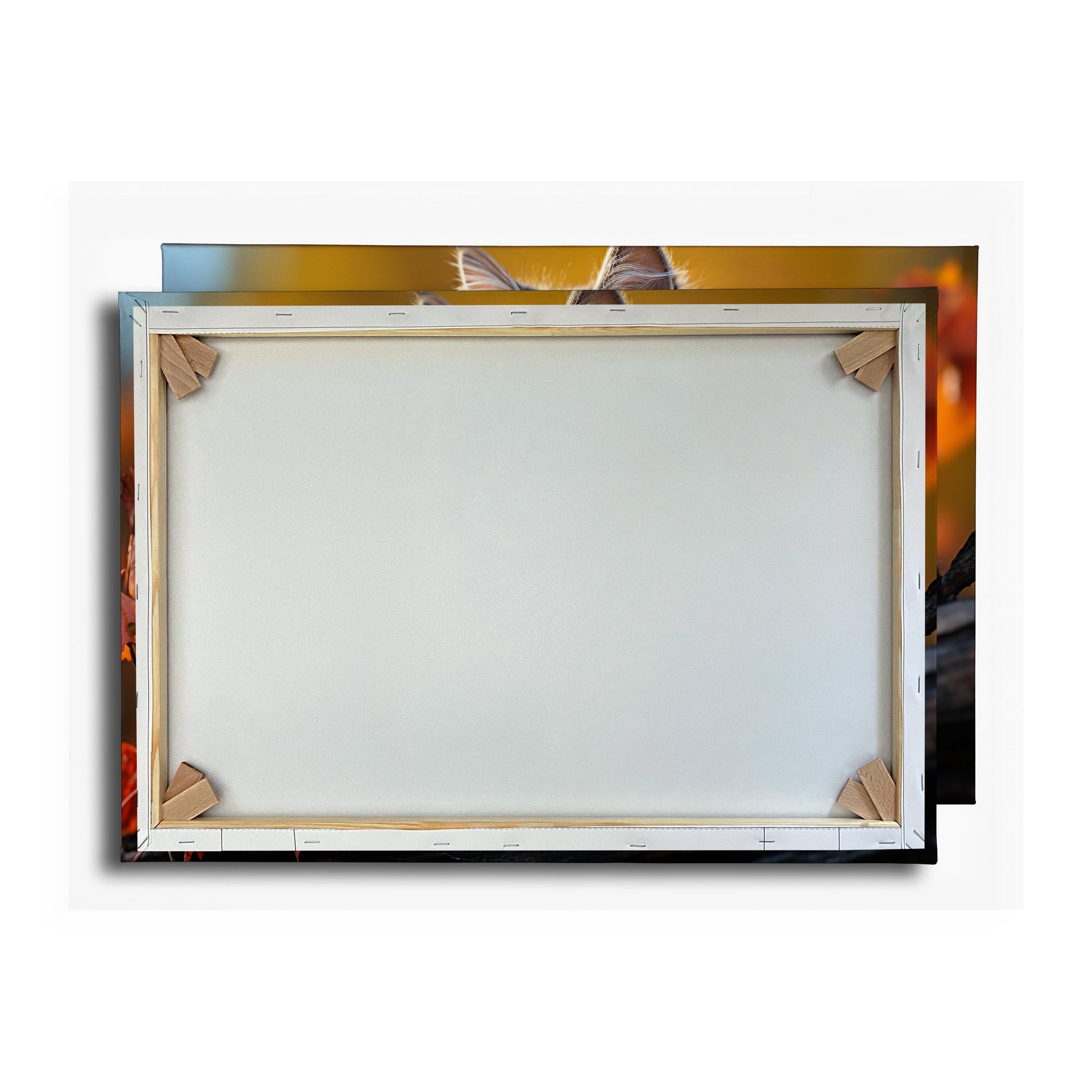 Vorschaubild Rückwand