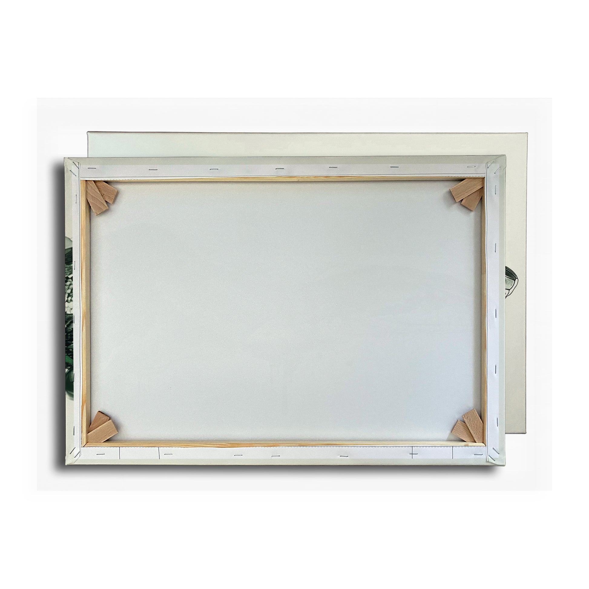 Vorschaubild Rückwand