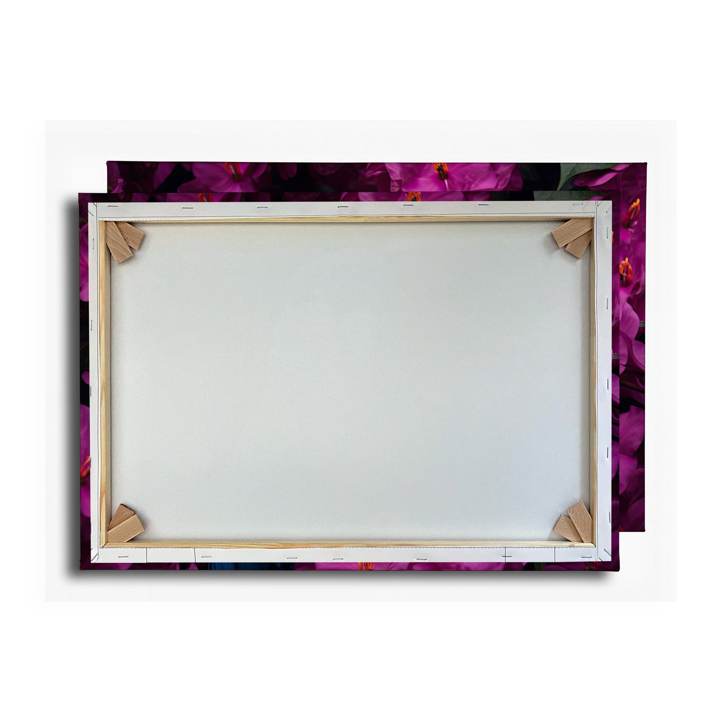 Vorschaubild Rückwand