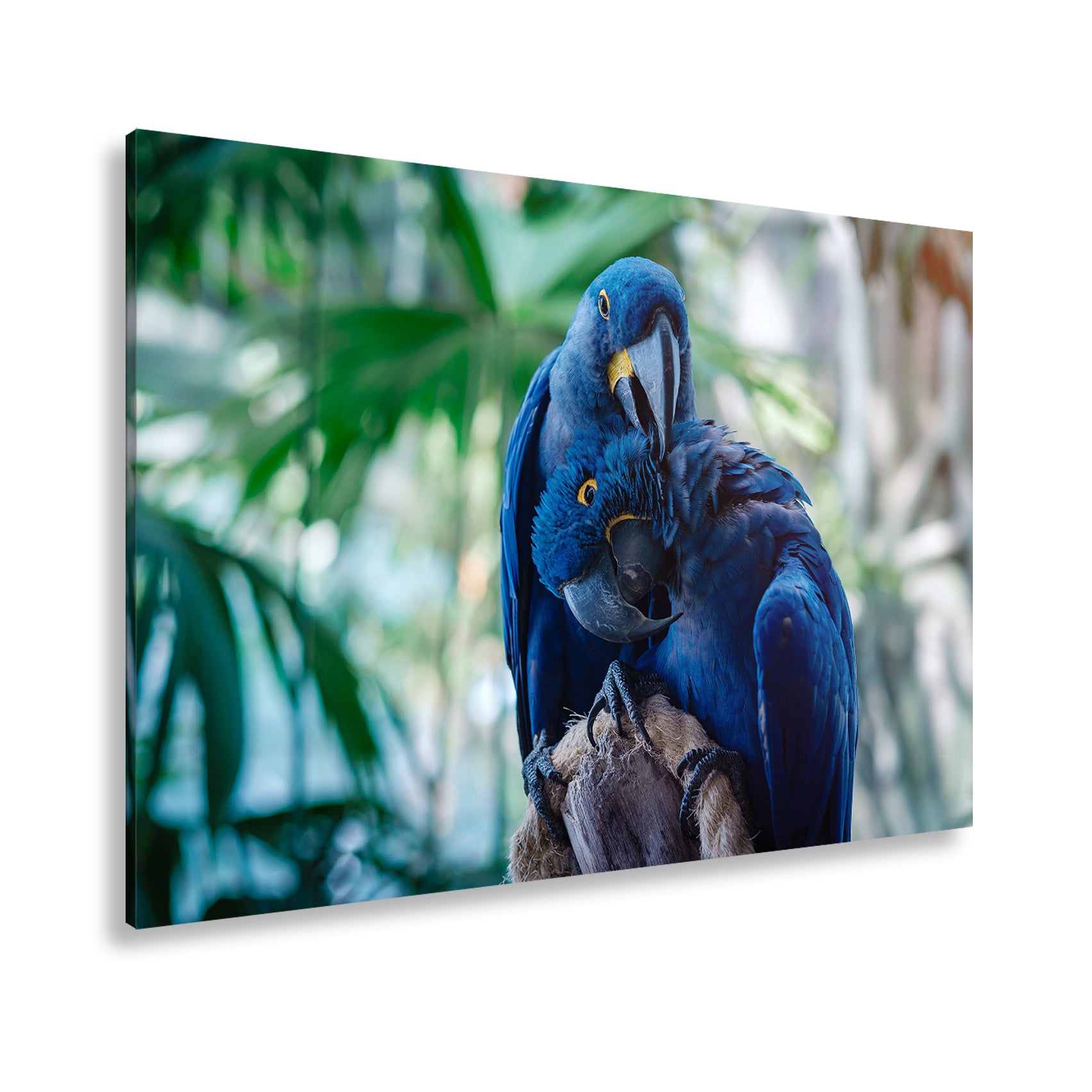 Hauptbild Farbig Standart