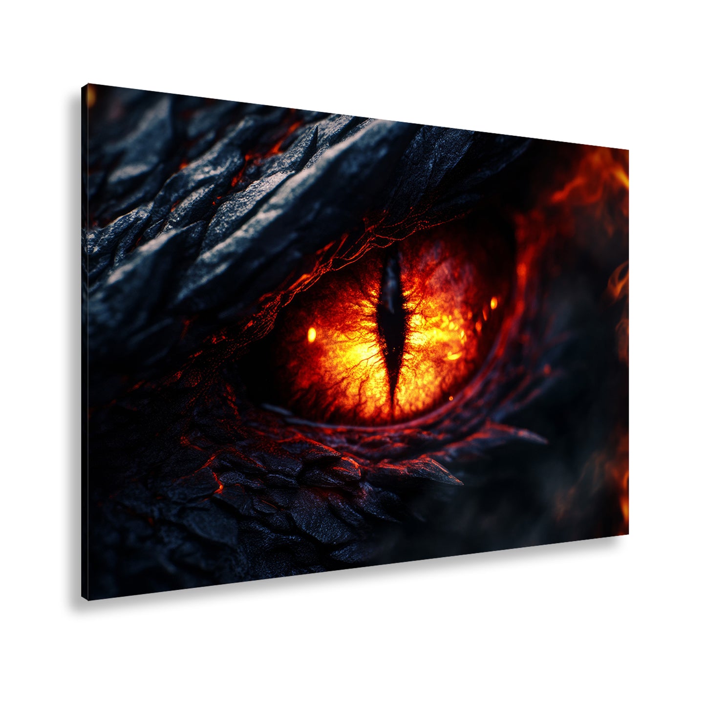 Hauptbild Farbig Standart