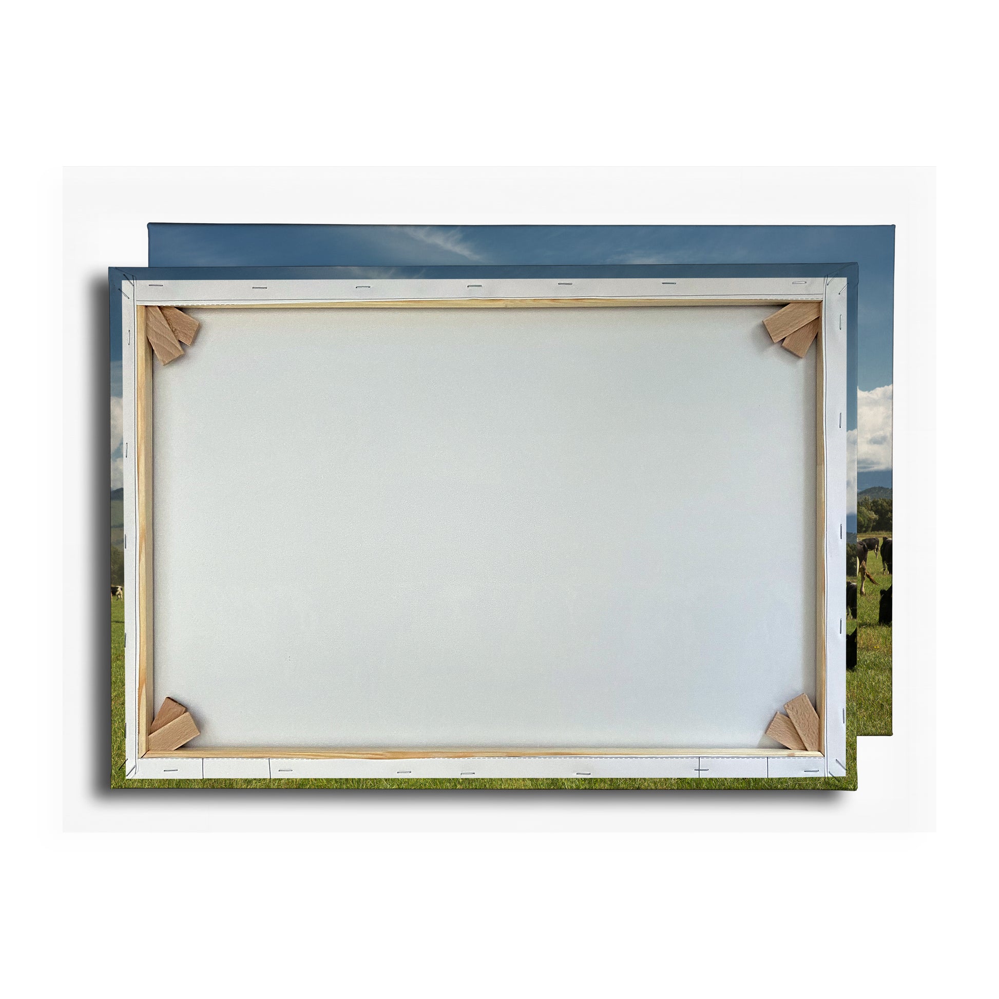 Vorschaubild Rückwand