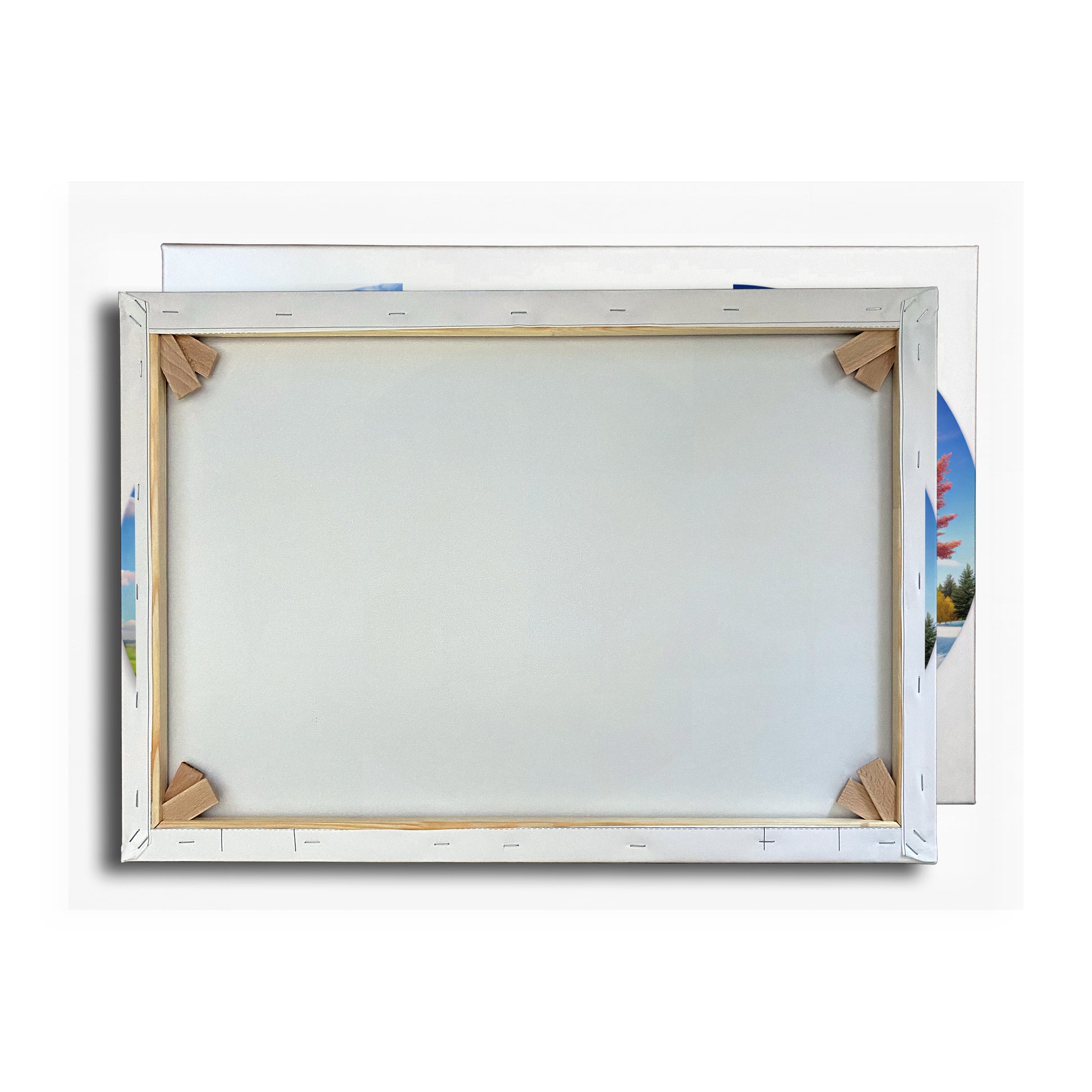Vorschaubild Rückwand