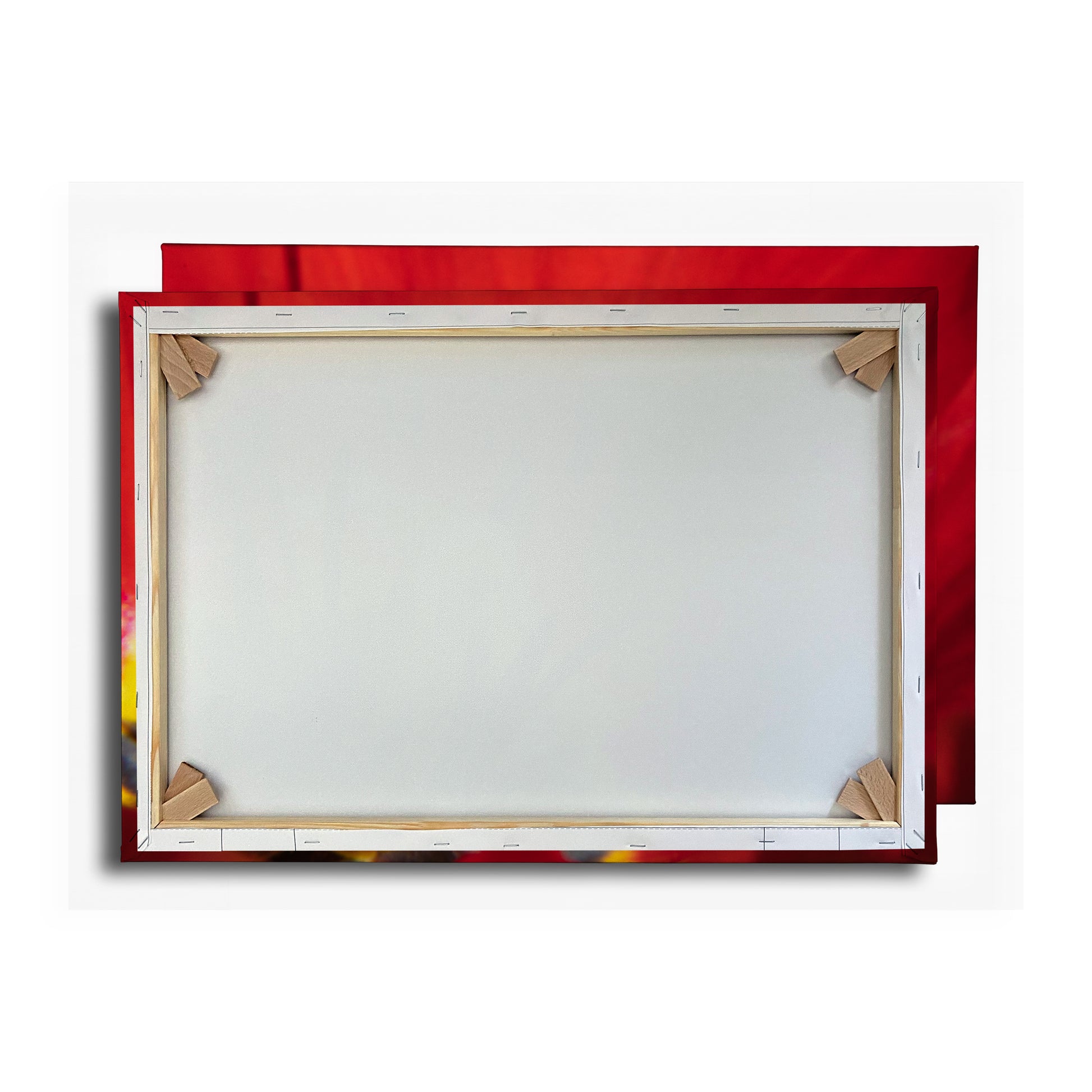 Vorschaubild Rückwand