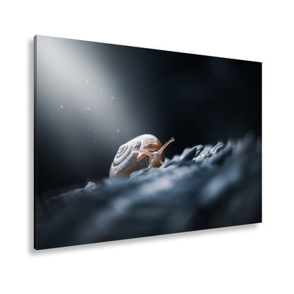 Hauptbild Farbig Standart