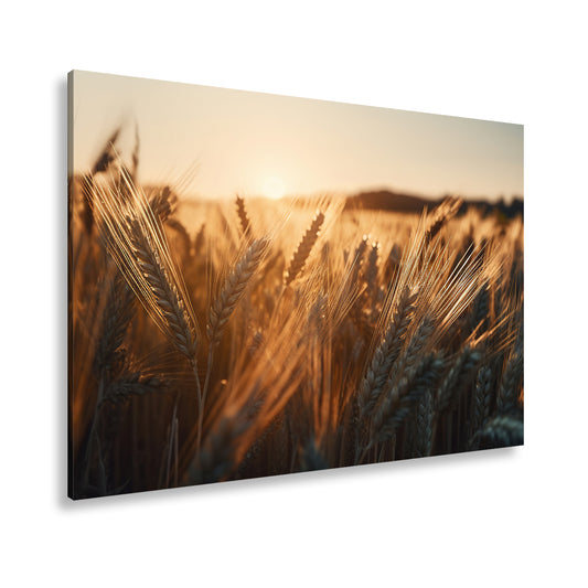 Hauptbild Farbig Standart