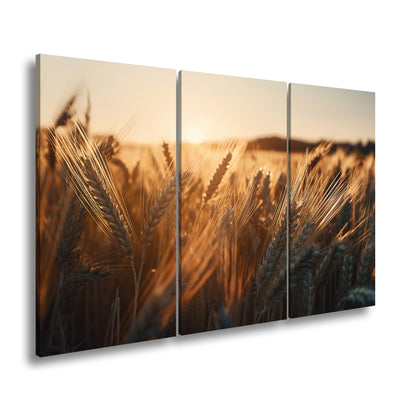 Hauptbild Farbig 3 Teilig