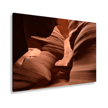 Hauptbild Farbig Standart