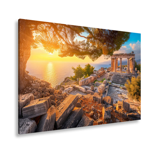 Hauptbild Farbig Standart