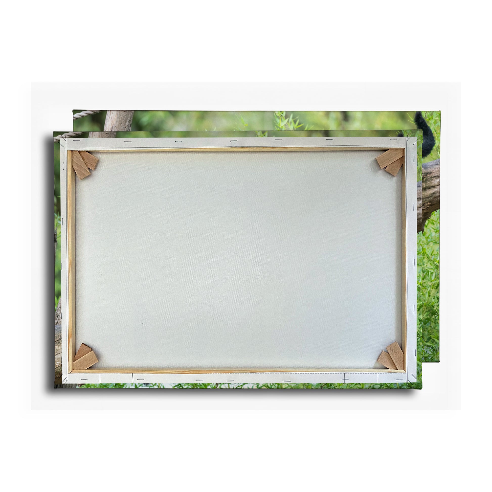 Vorschaubild Rückwand